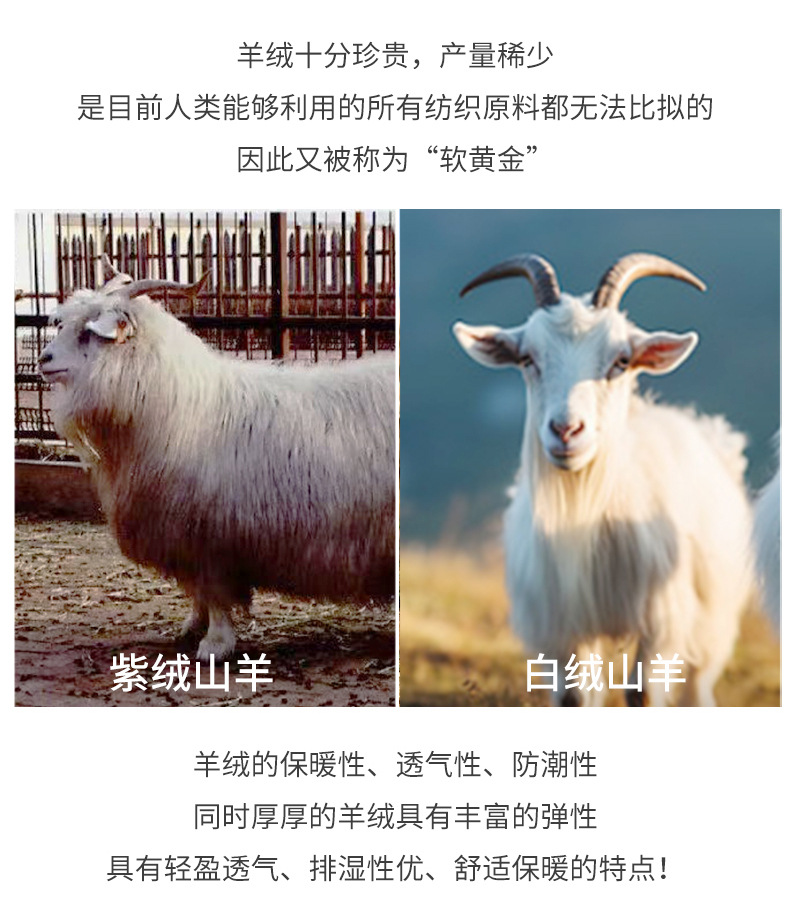 详情_06.jpg