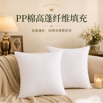 新款抱枕芯pp棉枕芯加厚无纺布磨毛布酒店客厅沙发靠枕