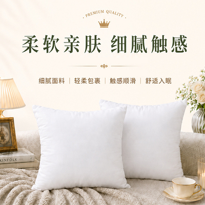新款抱枕芯pp棉枕芯加厚无纺布磨毛布酒店客厅沙发靠枕